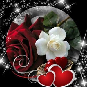 Meet your Posher, Rosita